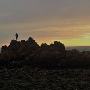 Meet your Posher, Andrew